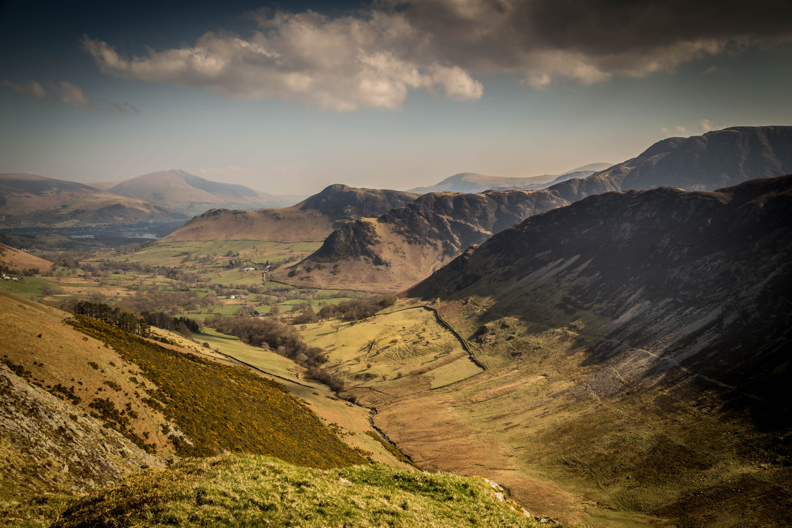 Robinson and Hindscarth