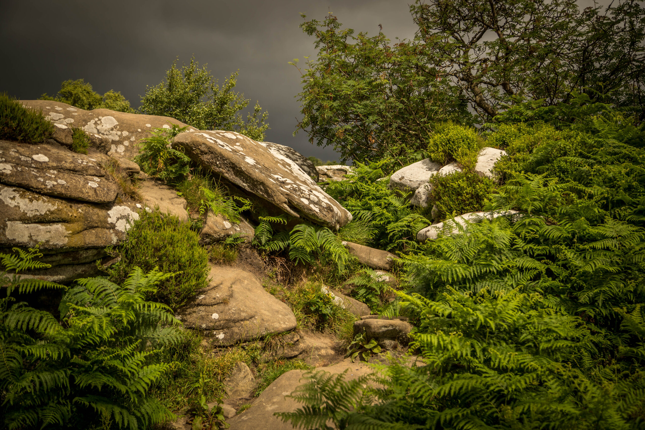 260626_Skipton (12 of 35)