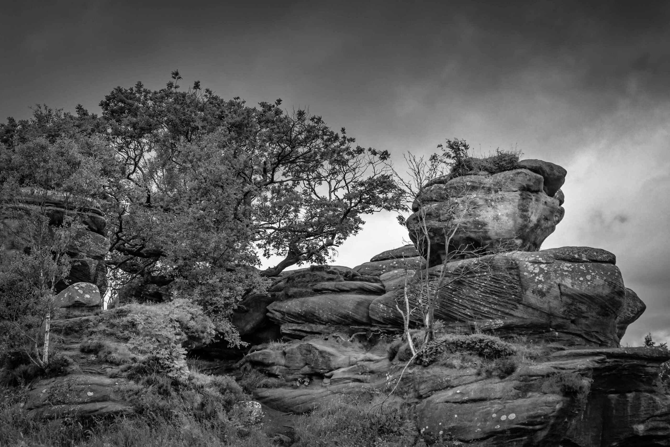 260626_Skipton (16 of 35)