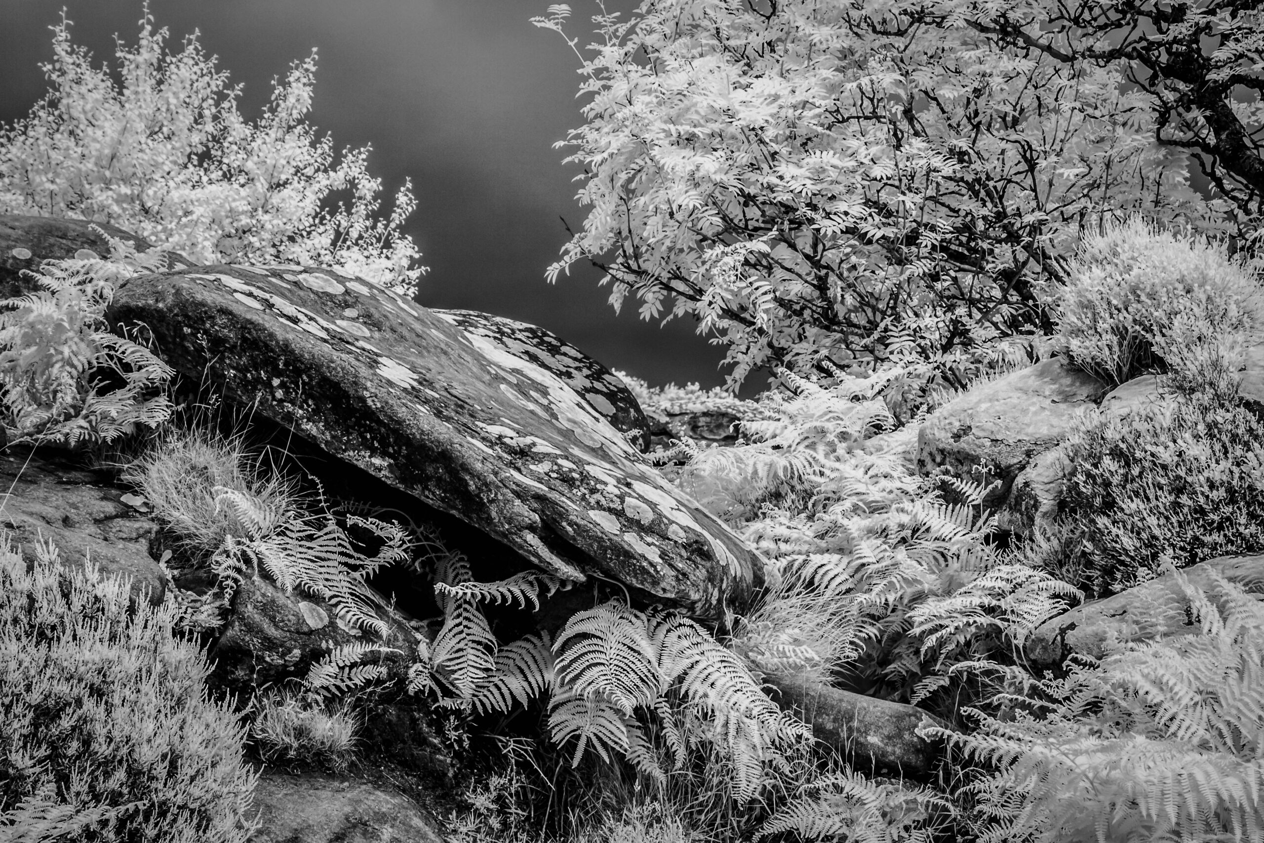 260626_Skipton (7 of 35)