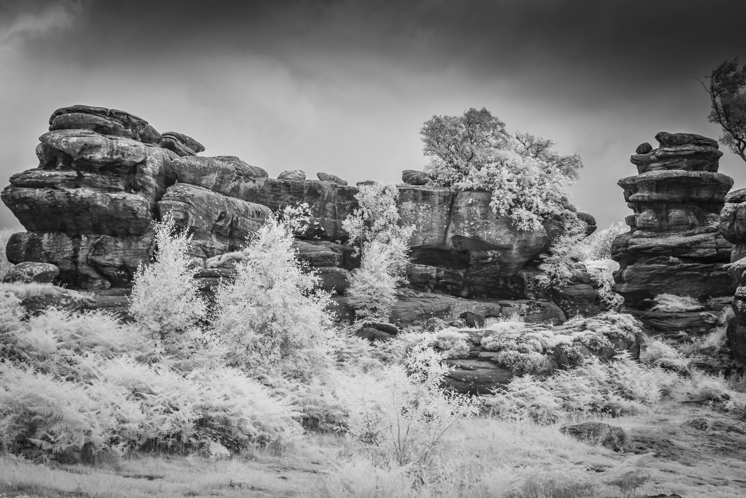 260626_Skipton (9 of 35)